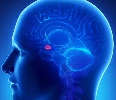 bhabha--chitra, deep brain stimuletr, mou