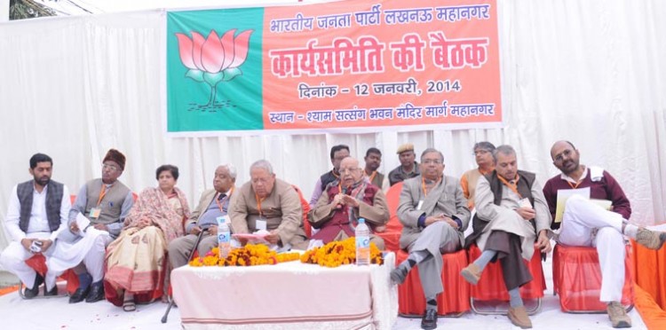 bjp lucknow mahanagar working committee