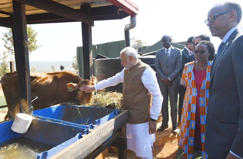 pm narendra modi in rwanda