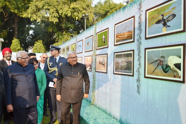 bird photo exhibition