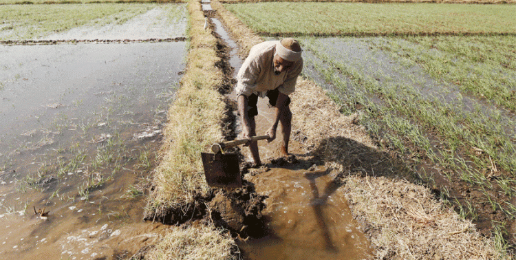 high powered committee of chief ministers constituted for 'transformation for agriculture'