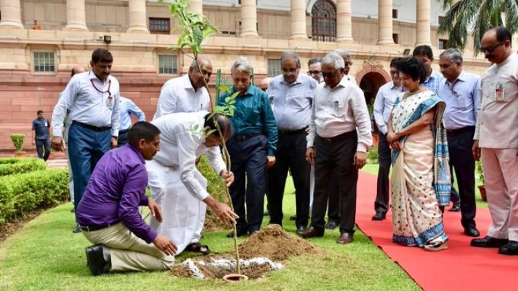 vice president m. venkaiah naidu plantation in parliament house