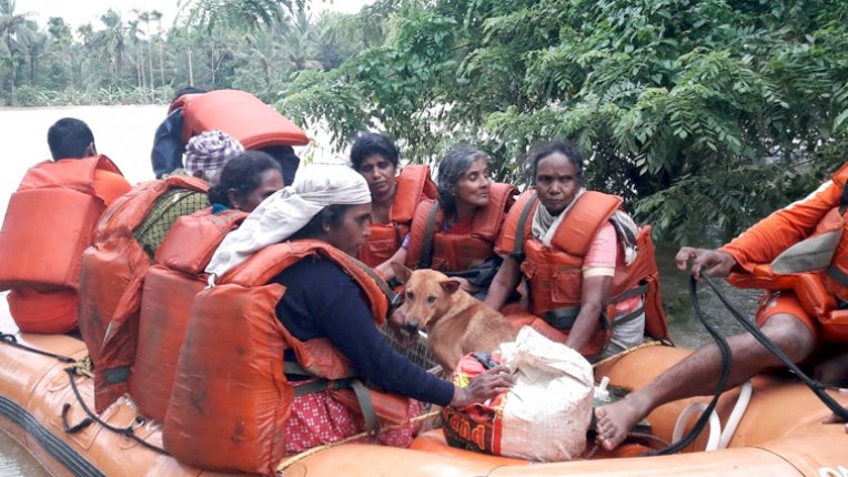 एनडीआरएफ टीम का बचाव व राहत कार्य